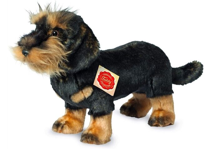 Teddy-Hermann Rauhaardackel, ca. 28cm
