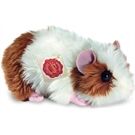 Teddy-Hermann Meerschweinchen gold/weiss, ca. 18