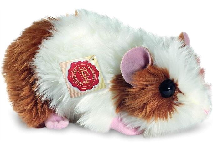 Teddy-Hermann Meerschweinchen gold/weiss, ca. 18