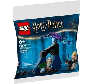 LEGO® LGO Harry Potter Draco im verbotenen Wald
