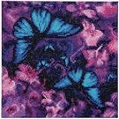 CRYSTAL ART Crystal Art Leinwand Schmetterlinge 30x30 cm