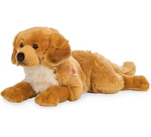 Teddy-Hermann Golden Retriever bernsteinfarben,ca