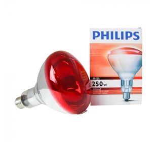 Philips Infrarotlampe für Tieraufzucht 250 Watt