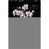 LEGO® LEGO® Creator 10311 Orchidee