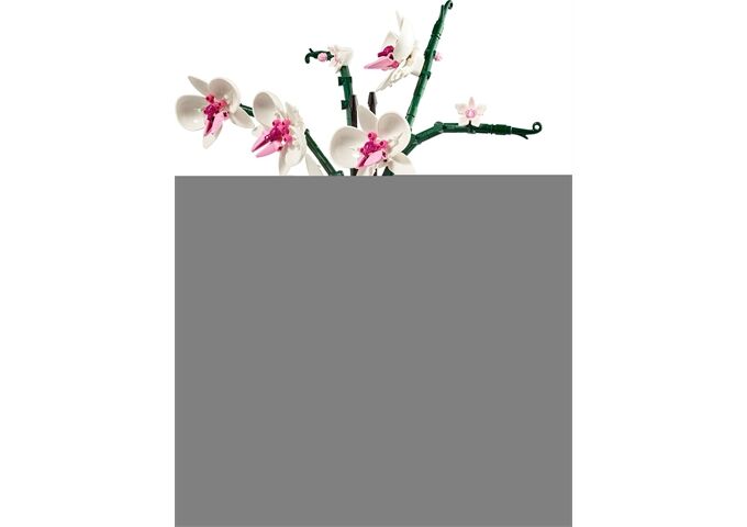 LEGO® LEGO® Creator 10311 Orchidee
