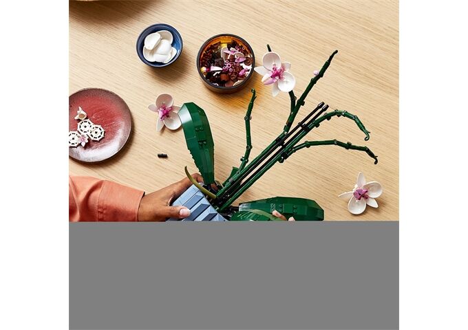 LEGO® LEGO® Creator 10311 Orchidee