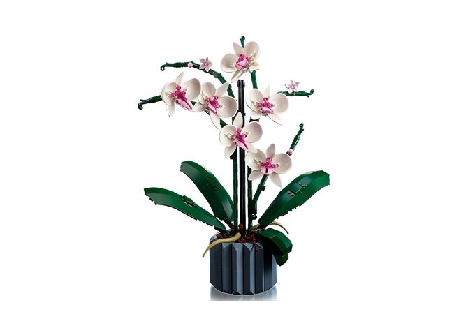 LEGO® LEGO® Creator 10311 Orchidee