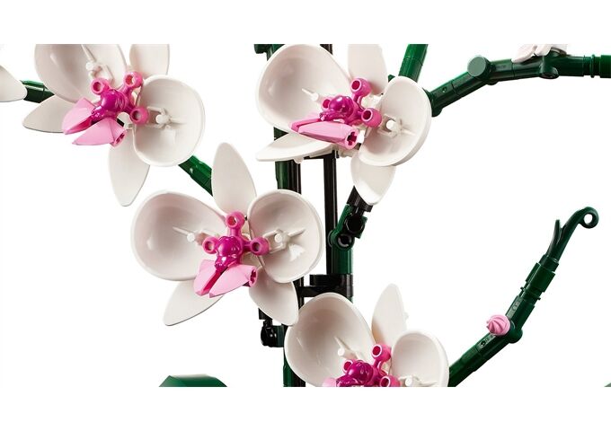 LEGO® LEGO® Creator 10311 Orchidee