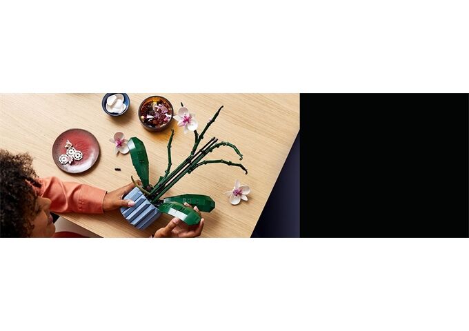 LEGO® LEGO® Creator 10311 Orchidee