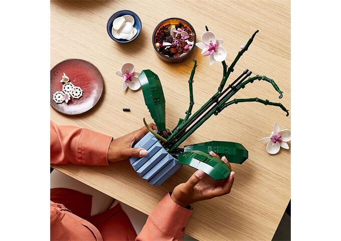 LEGO® LEGO® Creator 10311 Orchidee