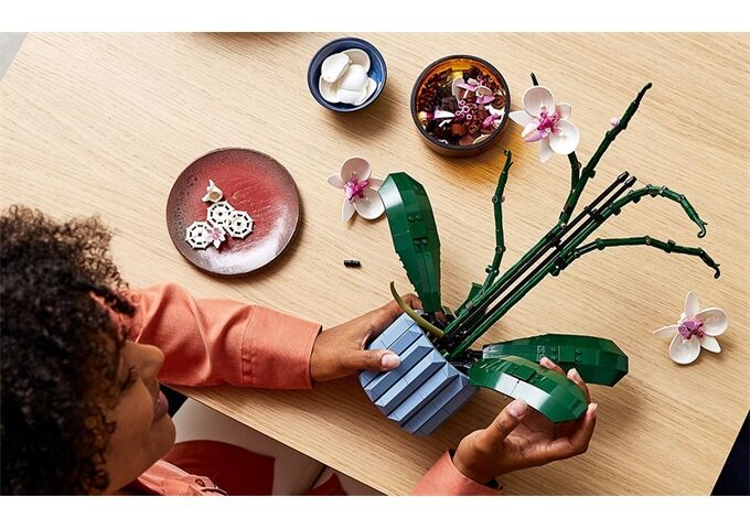 LEGO® LEGO® Creator 10311 Orchidee