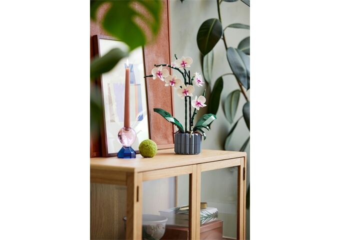 LEGO® LEGO® Creator 10311 Orchidee