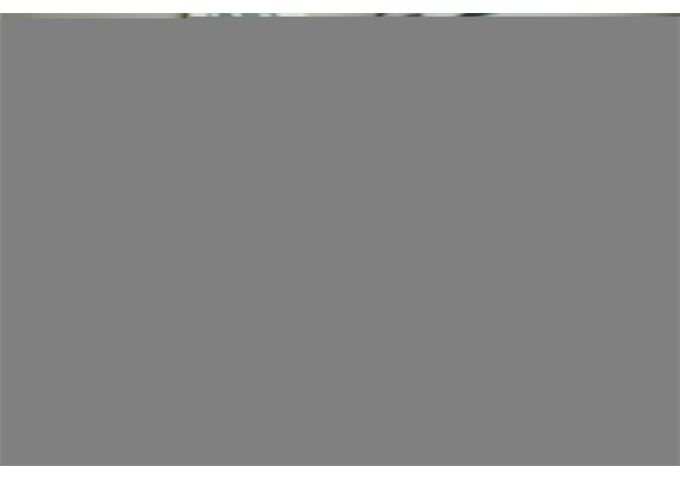 LEGO® LEGO® Creator 10311 Orchidee