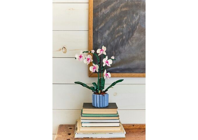 LEGO® LEGO® Creator 10311 Orchidee