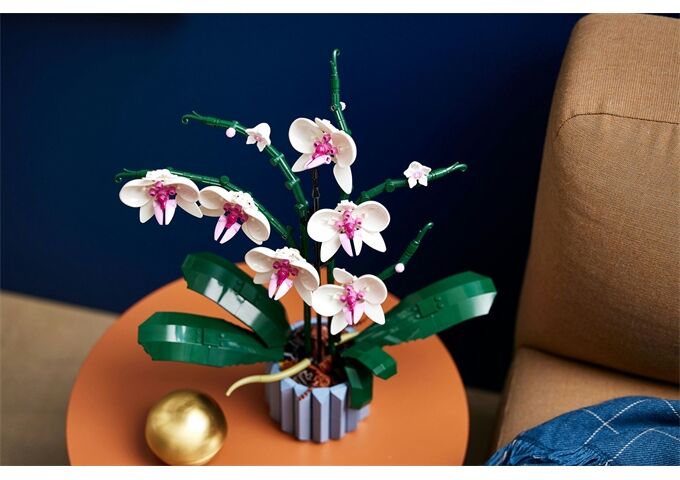 LEGO® LEGO® Creator 10311 Orchidee