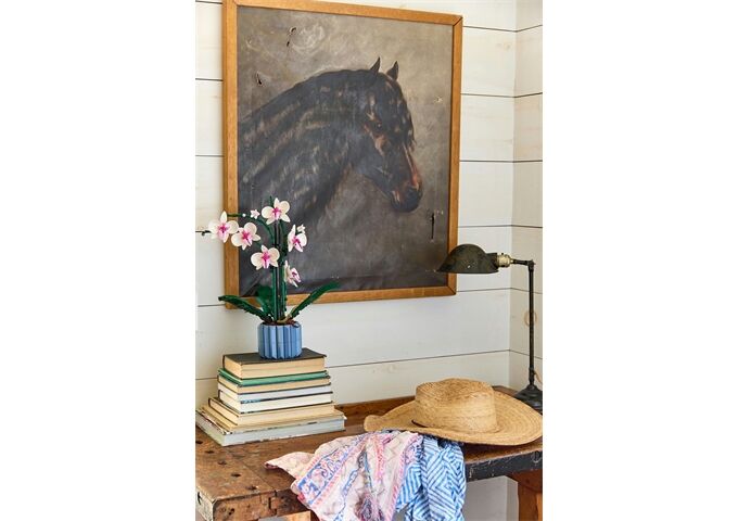 LEGO® LEGO® Creator 10311 Orchidee