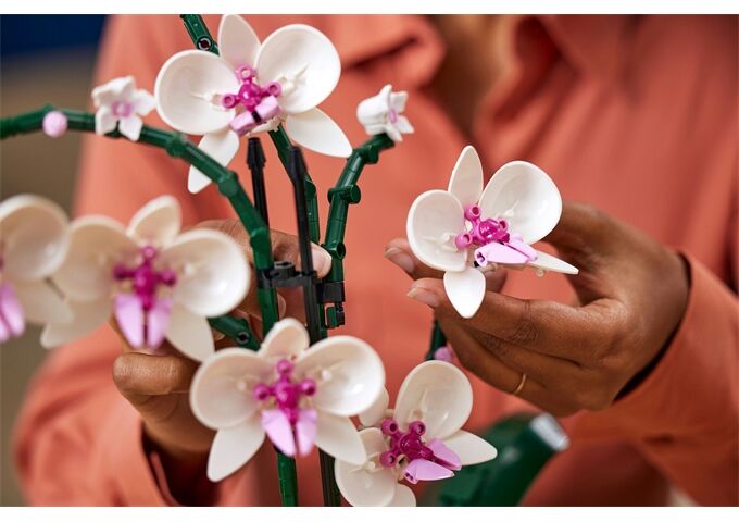 LEGO® LEGO® Creator 10311 Orchidee