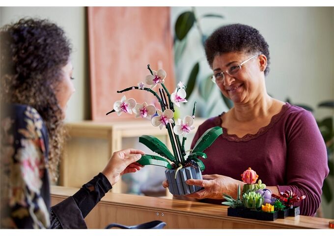 LEGO® LEGO® Creator 10311 Orchidee