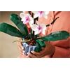 LEGO® LEGO® Creator 10311 Orchidee