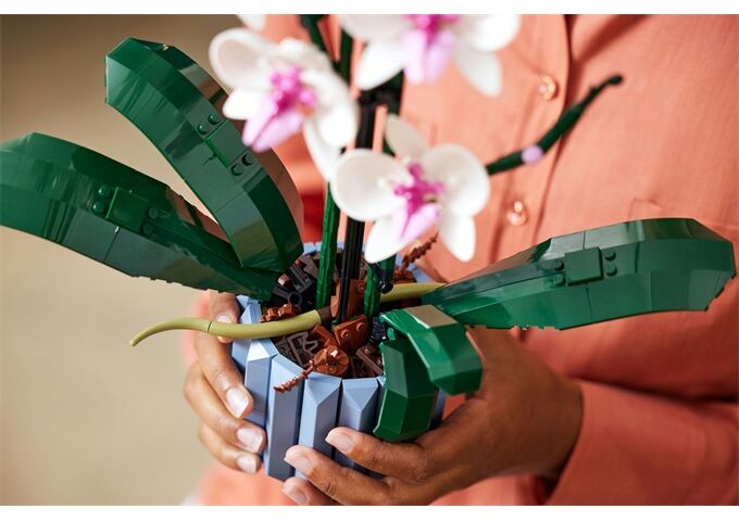 LEGO® LEGO® Creator 10311 Orchidee