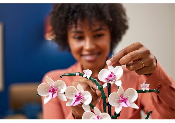 LEGO® LEGO® Creator 10311 Orchidee