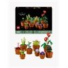 LEGO® Icons Botanicals Mini Pflanzen