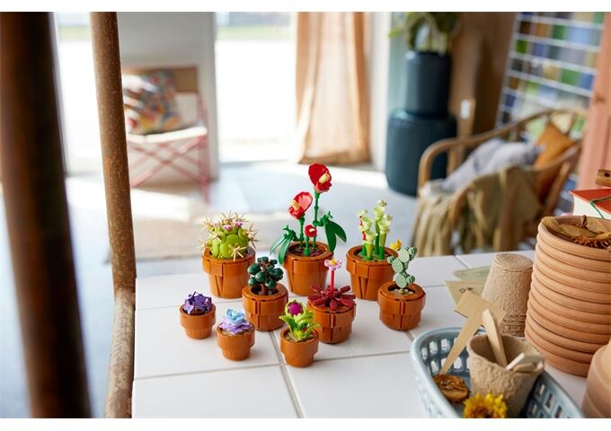 LEGO® Icons Botanicals Mini Pflanzen