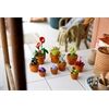 LEGO® Icons Botanicals Mini Pflanzen