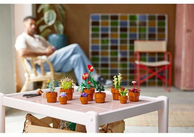 LEGO® Icons Botanicals Mini Pflanzen