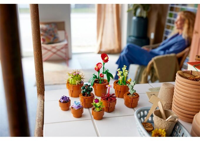 LEGO® Icons Botanicals Mini Pflanzen