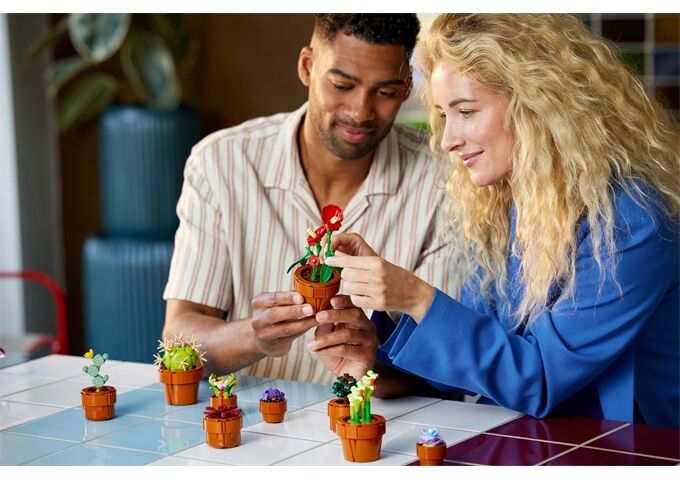 LEGO® Icons Botanicals Mini Pflanzen