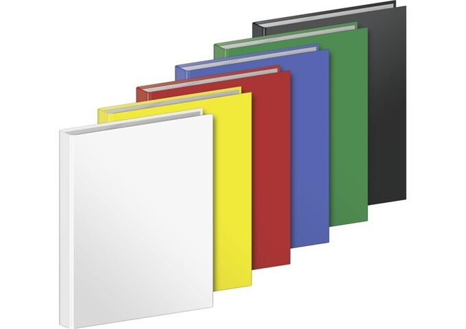 BRUNNEN Ringbuch A4 4R Uni sortiert