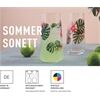 Ritzenhoff Sommersonett D'Tox 2er-Set F24