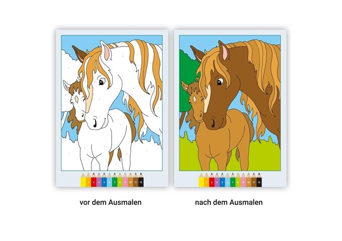  Creart Malen Nach Zahlen Ab 5 Pferde Kr