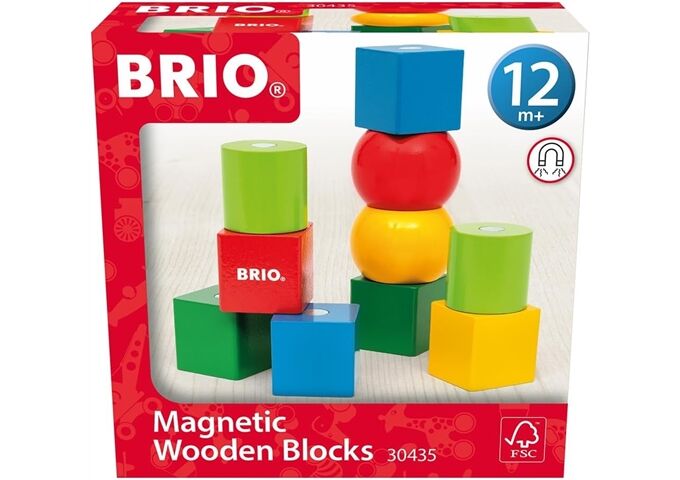 Ravensburger Magnetische Holzbausteine Pedagogics