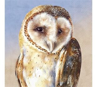 ihr Ideal Home Range EVIE cream blue Cocktail-Servietten