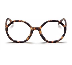 looplabb LOLITA LL18A +2.00 turtle