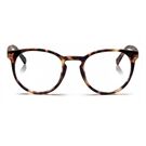 looplabb PAPILLON LL16A +1.00 turtle