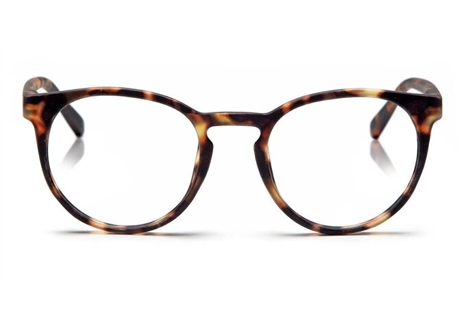 looplabb PAPILLON LL16A +2.50 turtle