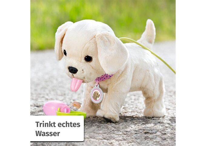 Zapf BABY born Mein Hund Lucky mit Box