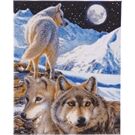 CRYSTAL ART Crystal Art Der Wächter 40X50 Cm