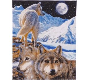 CRYSTAL ART Crystal Art Der Wächter 40X50 Cm