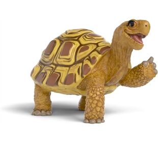 Schleich Henrietta die Schildkr te