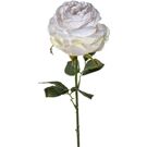 Leonardo POESIA Rose 67 creme Poesia