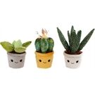 Van Manen Veenendaal Pflanzen Pluesch 19-27cm 3-fach sor