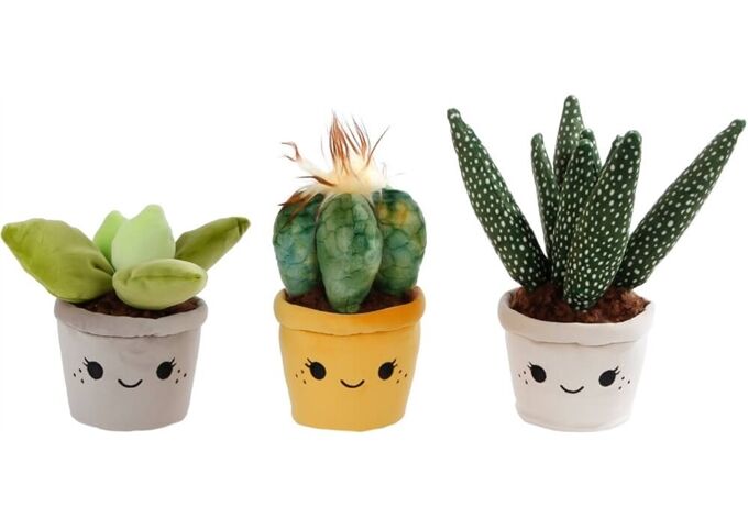 Van Manen Veenendaal Pflanzen Pluesch 19-27cm 3-fach sor