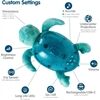 Cloud B Nachtlicht Tranquil Turtle™ Aqua