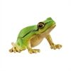 Schleich Europäischer Laubfrosch