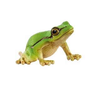 Schleich Europäischer Laubfrosch