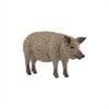 Schleich Wollschwein